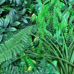 観葉植物壁面パネル・ウォールグリーン（50×51）３枚セットの画像