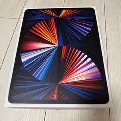 ipad pro 1TB 第5世代の画像
