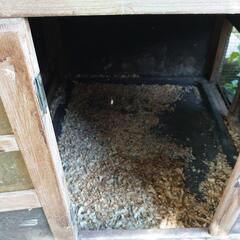 鶏小屋の画像