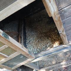 鶏小屋の画像