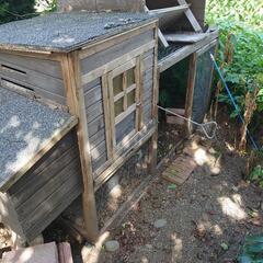 鶏小屋の画像