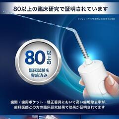 waterpik ウォーターピック 歯垢除去 ジェットウォッシャー オーラルケアの画像