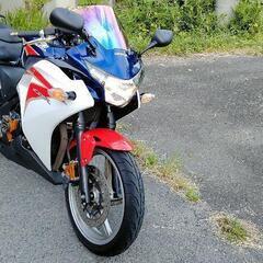 CBR250MC41 の画像