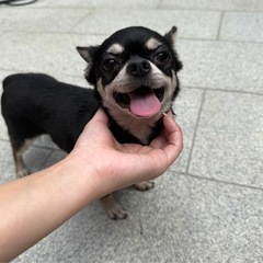 誕生日を迎えたばかりの小さな女の子