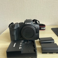 CANON EOS R6
の画像