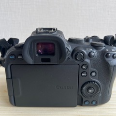 CANON EOS R6
の画像