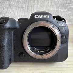 CANON EOS R6
の画像