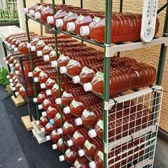 PSB光合成細菌500ml×3本の画像