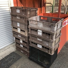 全部無料❗️収納ケースやプラケース パン屋の箱 など色々 お好きなだけお持ち帰りください☺️の画像