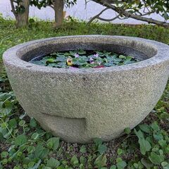 石臼　ガーデニング　日本庭園　メダカ鉢　手水鉢の画像