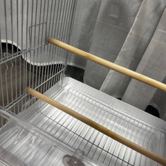 三晃商会 SANKO 鳥用 イージーホーム クリアバード35WH ホワイト おまけ付き 小鳥 インコの画像