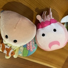 アニマルズ　白イルカ　シャチ　イソギンチャク　クラゲの画像