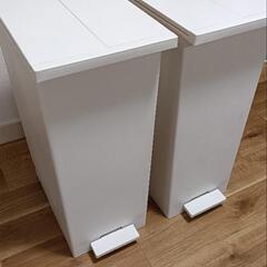 両開き　足踏み45Lゴミ箱の画像