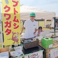 🍀🌈💁‍♀️チャリティー昆虫くじ・メダカ販売＆わいわい市藤…