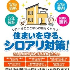 シロアリ対策　虫が活発ですね