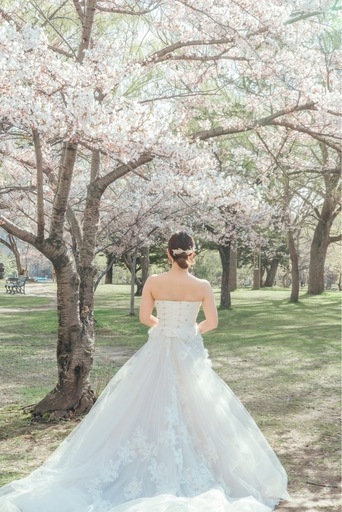 ジルスチュアートウェディングドレス (ゆ) 西11丁目のドレスの中古