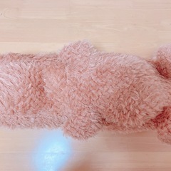 カピバラのぬいぐるみの画像