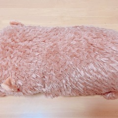 カピバラのぬいぐるみの画像
