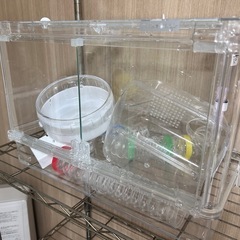 シャイニー45 ハムスターケージ トンネルお風呂場付きの画像