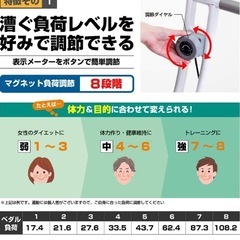 値下げ‼️アルインコ　エアロバイク　クロスバイク　の画像