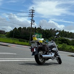 中型アメリカンバイクGV250の画像