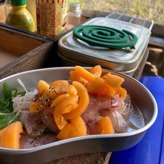 キャンプセラピーの画像