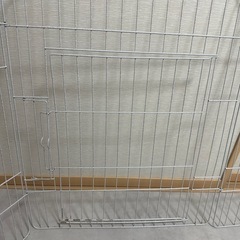 　✨最終値下げ🫣🐇✨ラビットサークル✖️2の画像