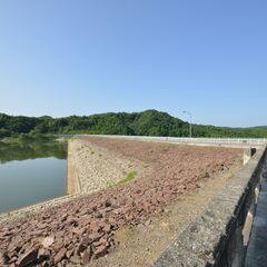 SIGMA シグマ 10-20mm F4-5.6 DC HSM ニコン用カメラレンズの画像