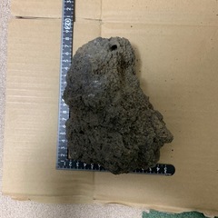 溶岩石特大4個セットの画像