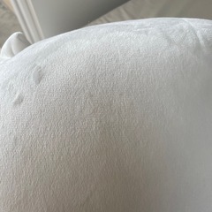 クレヨンしんちゃん ぬいぐるみ シロ めちゃもふぐっどぬいぐるみの画像