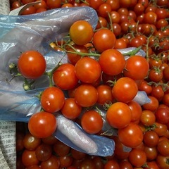 ミニトマトの画像