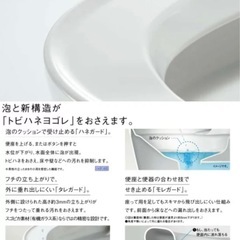 アラウーノ
の画像