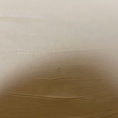 無印良品　座椅子　2個　の画像