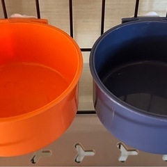 おしゃれ フードボウル 固定式餌皿 の画像