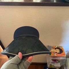 サンシェード？の画像