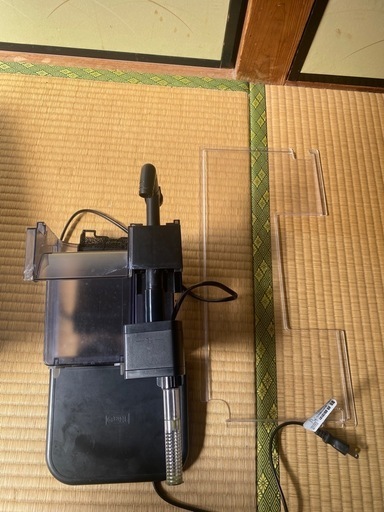 水槽セットとメダカ