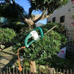 植木　バリカンマキタ製　電動100Ｖ　延長コード付きの画像