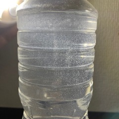 【残り2名様】メダカ稚魚10匹まで0円 お1人様1回限りの画像