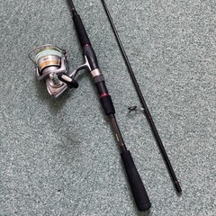 シーバス釣りセットの画像