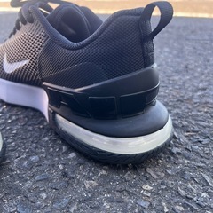 NIKE エアマックスの画像