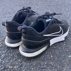 NIKE エアマックスの画像
