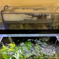 60cmアクリル水槽背面ブラック　水槽濾過槽のみの画像