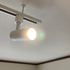 ライティングレール用スポットライト（LED暖色）の画像