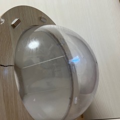 【訳あり】猫の宇宙船　の画像