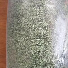 【新品未開封】ロングパイル人工芝 1m×5m 毛足35mmの画像