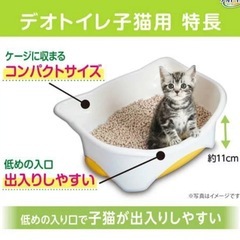 猫　トイレ　の画像