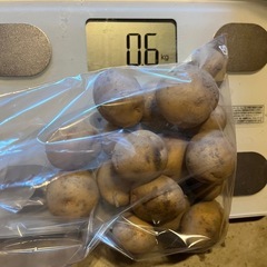 新キタアカリ　栽培期間中農薬不使用　5kg 小芋600g おまけ付きの画像