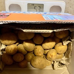 新キタアカリ　栽培期間中農薬不使用　5kg 小芋600g おまけ付きの画像