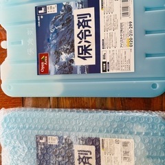 新品未使用の保冷剤   Lサイズ2個セットの画像