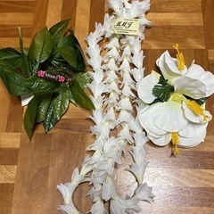 フラダンス衣装＋小物＋本CDの画像